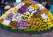The Chrysanthemums Show