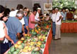 The Mango Festival