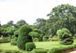 Waghai Botanical Gardens