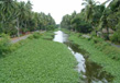 Kerala- Gods Own Country 3
