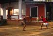 Kalaripayattu The Ancient Form Of Martial Arts Of Kerala 2