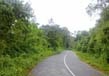 Roads In Kerala 3