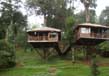 Tree houses in kerala 2