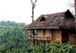Tree houses in kerala 3