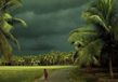 Kerala- Gods Own Country 5