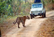Manas Wildlife Sanctuary 6